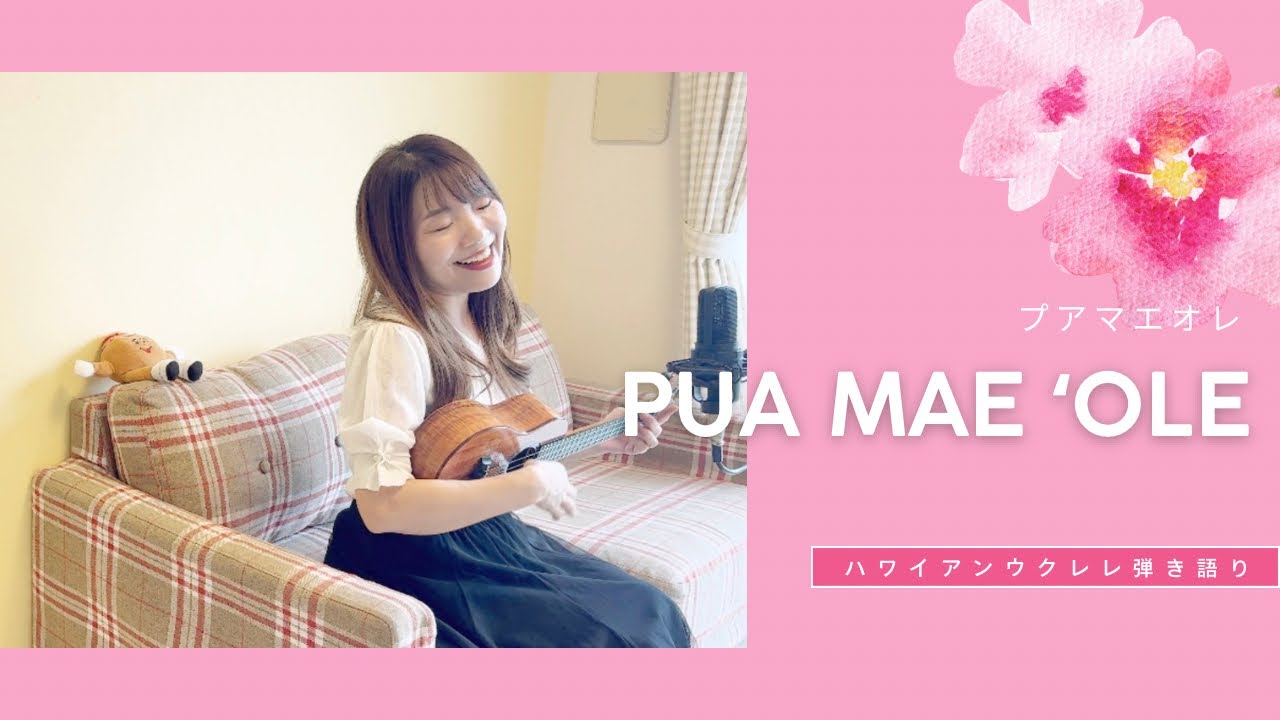 【Pua Mae ʻOle プアマエオレ】ハワイアン ウクレレ 弾き語り (歌詞付き)