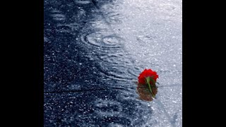 Beth Hart - Caught Out In The Rain (Lyrics)