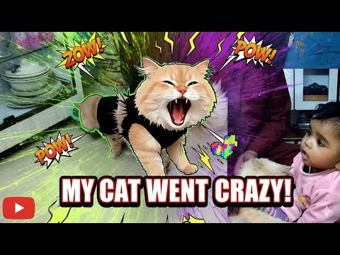 Shaima ka naya dost ( Jack ) 😺@shaimavlogs7 