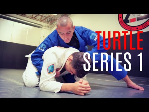 Turtle Position Turtle Position Jiu Jitsu Instructionals – Attacks, Breakdowns, and ...