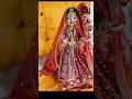 Gangor Holi Festival Viral Shortsvideo