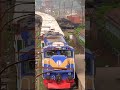 Snake Type Entry Of Banglabandha Express Viral Ytshorts