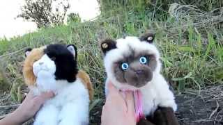 OMG I'm with the Fishie! [Part 1 of 2]