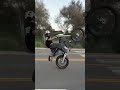 The best ebike in the market! #music #offroadbike #starkvarg #surron #wheelie #electricdirtbike