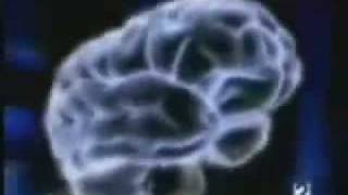 The Legendary Pink Dots - Remember Me This Way