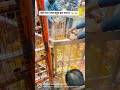 Duniya Ne Thukraya Hai Bas Tumne Apnaya Hai Khereshwar Mahadev Status Babamahakala1 Shorts