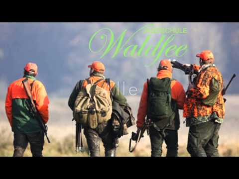 Treiber in den Kessel - 2. Sicherheitsrelevantes Jagdhornsignal