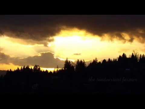 Wonder If She's Lonely,Too?- Warner's Seven Aces