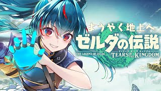 【ゼルダの伝説/ティアーズオブザキングダム】コーガ様に会いたいよ～【羽奏 こはく / Vtuber】