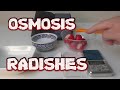 OSMOSIS - RADISHES and WEED KILLER