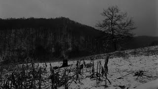 Alison Krauss - My Ain True Love