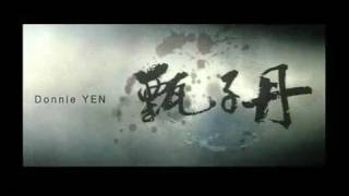 Ip Man (2008) Video