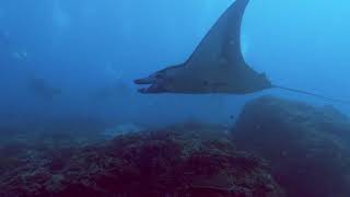 Diving in Indonesia - Nusa Penida
