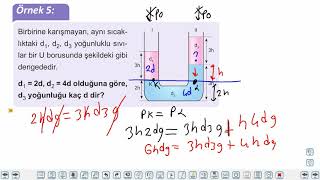 Eğitim Vadisi 10.Sınıf Fizik 6.Föy Basınç 3 (Sıvı Basıncı ve Pascal Prensibi) Konu Anlatım Videoları