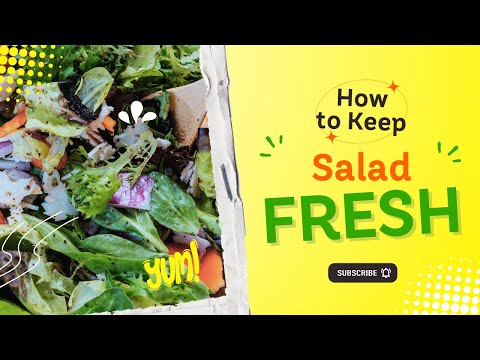 How to Keep Salads Fresh for a MONTH (Meal Prep)