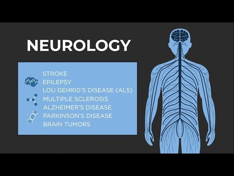 What is Neurology? - American Academy of Neurology