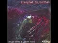 Trampled by Turtles ~ Whiskey (432Hz)
