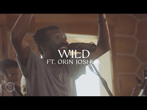 Wild - Creative Culture Co.