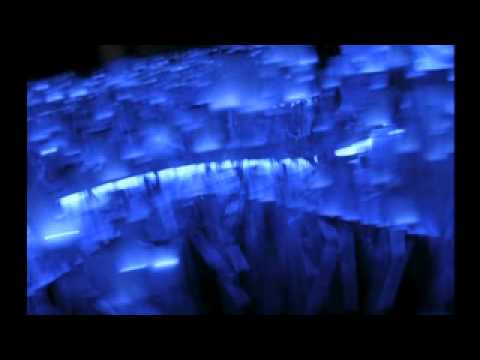 The ultraviolet garden