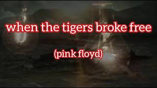 Pink Floyd - When The Tigers Broke Free [Lyrics]
