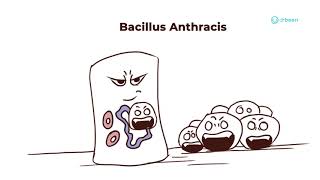 Bacillus Anthracis | Properties, Pathology, Disease, Management Approach