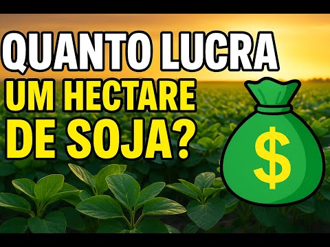 QUANTO LUCRA UM HECTARE DE SOJA? A VERDADE SOBRE O LUCRO NO AGRO! ??