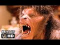 AN AMERICAN WEREWOLF IN LONDON Clip Transformation 1981 John Landis