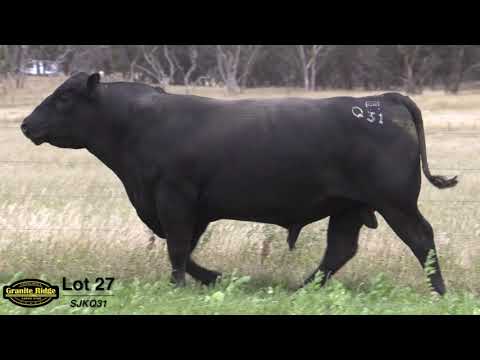 GRANITE RIDGE QUENTIN Q31