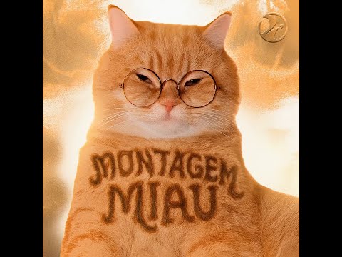 MONTAGEM MIAU Slowed 10 hours loop