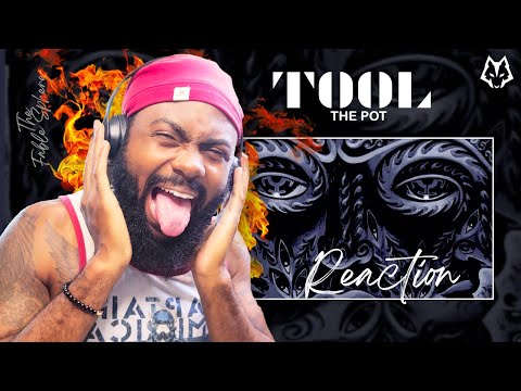 FIRST TIME HEARING: TOOL - The Pot (Reaction) BEST REACTION!!!