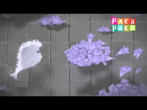 Música para imaginar  Canción del jacarandá   Canal Pakapaka