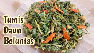 Masakan sehari - sehari || tumis daun beluntas || oseng daun beluntas || cara masak daun beluntas