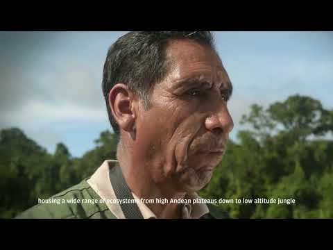 Biodiversidad Extrema en el Parque Nacional del Manu