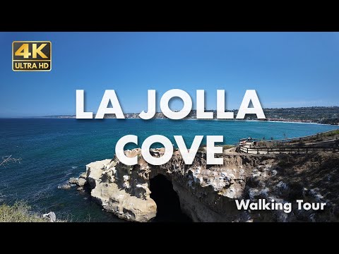 La Jolla Cove Walking Tour | [4k] Chill Lofi, Ocean Waves, Seals & Sea Lions