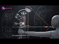 The Engineering Behind The Modern Compound Bows