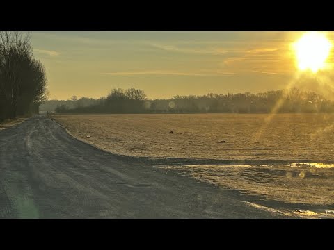 Zoran Petrovic Botunjac-Kome cvetas ruzo moja mala