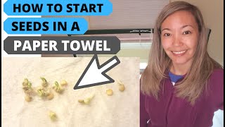Seed Germination PAPER TOWEL METHOD || How to Start Seeds in a PAPER TOWEL FAST || SUPER EASY