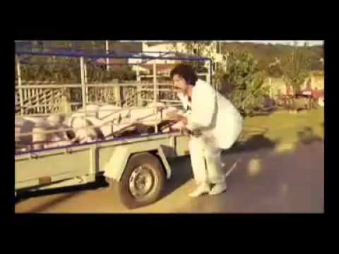 100 % koncetrat - Dragan Jovanovic Drakce