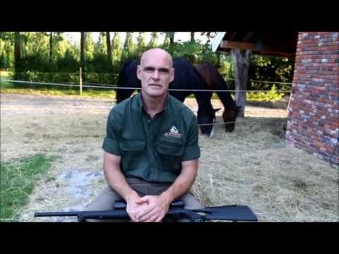 Team Winz - Tips & Tricks with the Shooting Patch