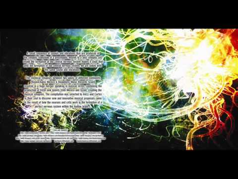 Cortex Vs Avizz - Chemical Synapses