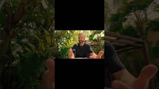 if you think I have it “figured out”, watch this