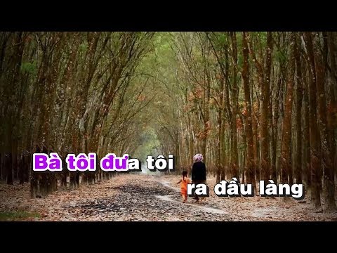 Bà Tôi Karaoke - Sáng tác Nguyễn Vĩnh Tiến