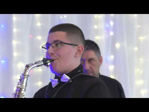 Dimitrije Pavlović - Dimitrijev prvenac