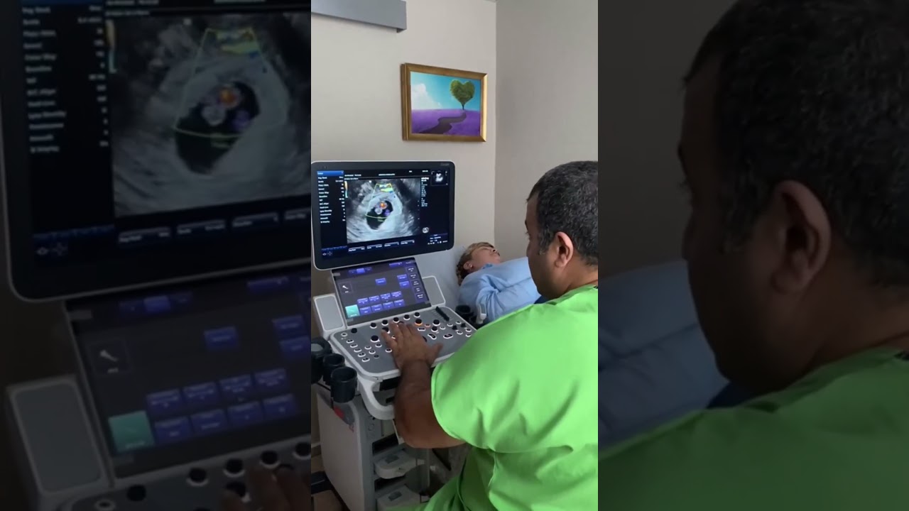 İstanbul’un kalbine embriyoyu taşıdık!