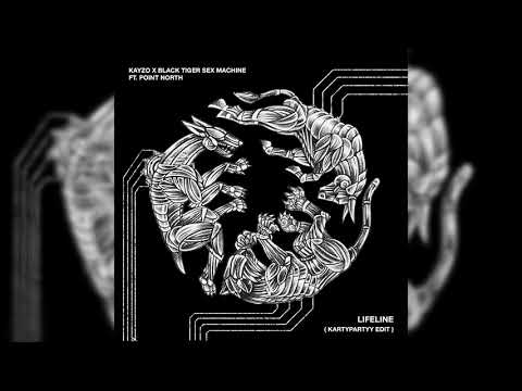 KAYZO X BLACK TIGER SEX MACHINE FT. POINT NORTH - LIFELINE (KARTYPARTYY EDIT)