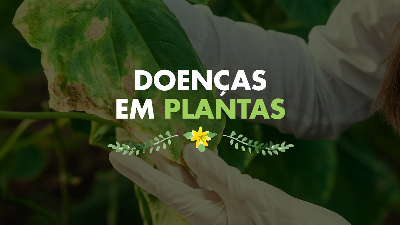 Doenças em Plantas