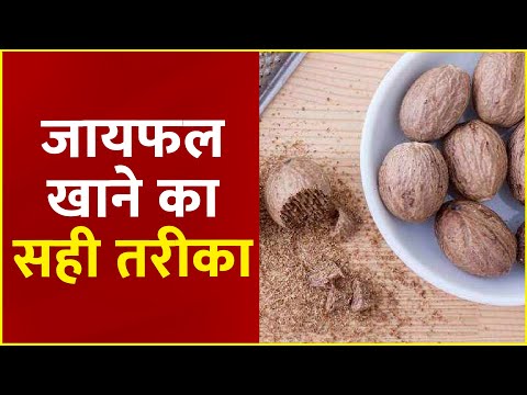 Sanjeevani Tips: Nutmeg (जायफल) खाने का सही तरीका | Dr. Pratap Chauhan