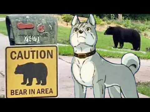 When You're Only Popular in Finland