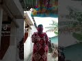 Daster Bolong