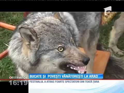 „Festivalul Vânătorilor“ de la Bata